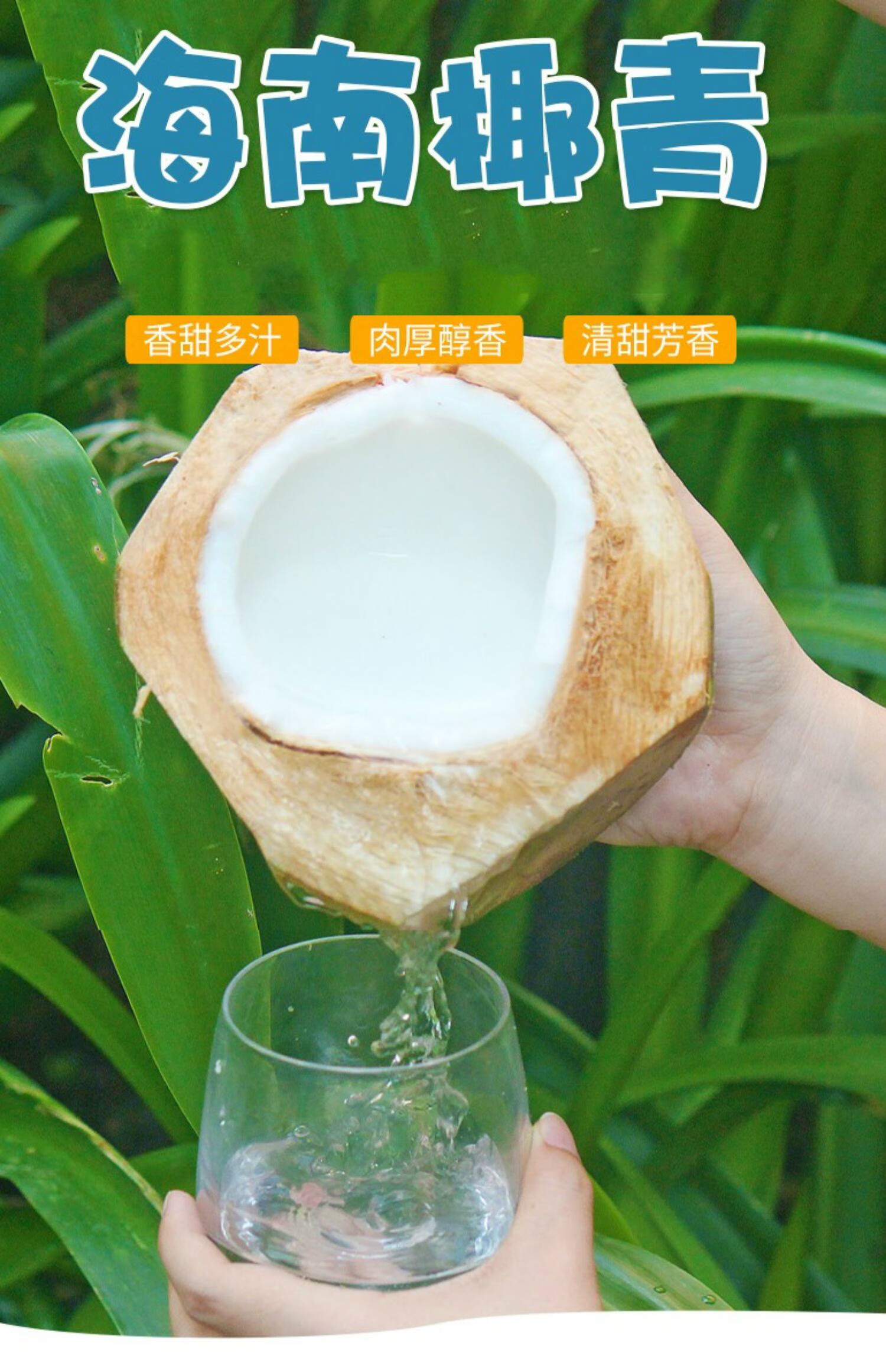 现货速发正宗海南文昌椰青新鲜去皮椰子当季新鲜水果孕妇水果精选一级