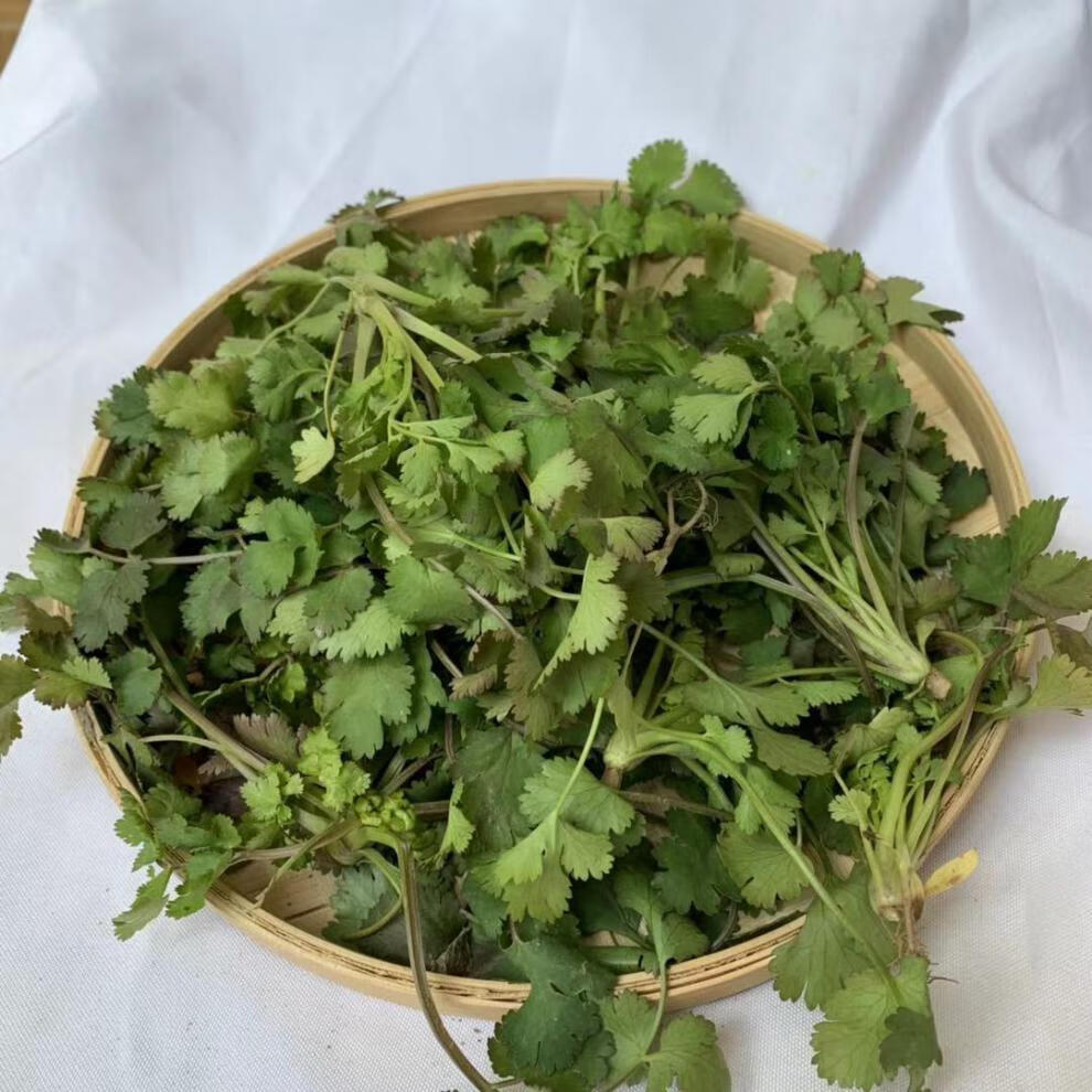 冠季香菜新鲜蔬菜4斤和河南芫荽农家矮脚土香菜霜冻香菜红根香菜500g