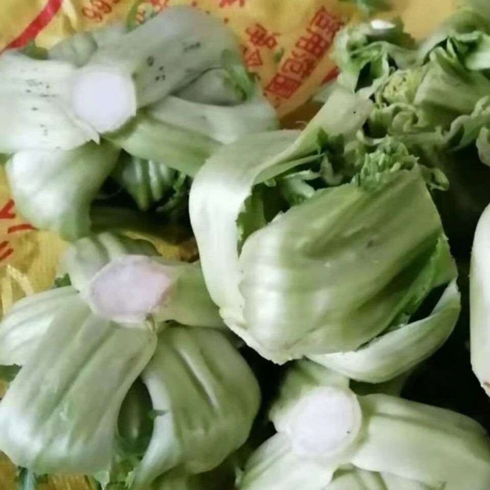 重庆农家新鲜包包菜榨菜可做咸菜泡菜应季蔬菜4斤8斤