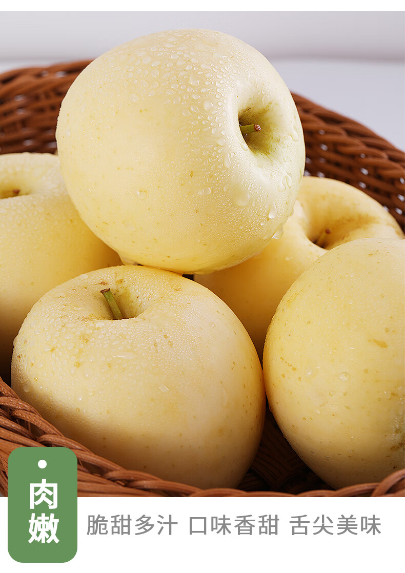 山东奶油富士苹果脆甜净重459斤单果80mm以上净重9斤轻微果绣果8085mm