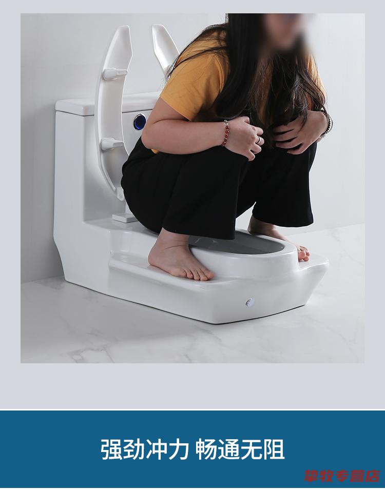 家用蹲坐两用马桶一体式蹲便器可蹲可坐二合一座便器双用大口径a智能