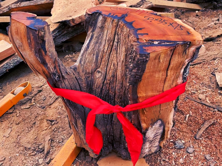 雷击枣木原木雷劈千年枣树道教法器 自然雷纹真正雷击木 雷击桃木 t