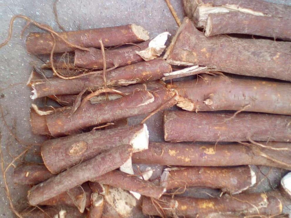 野生青皮无花果茎根须无花果根无花果树根500g【图片 价格 品牌 报价