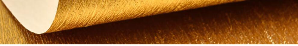 42c542358e61687c.jpg