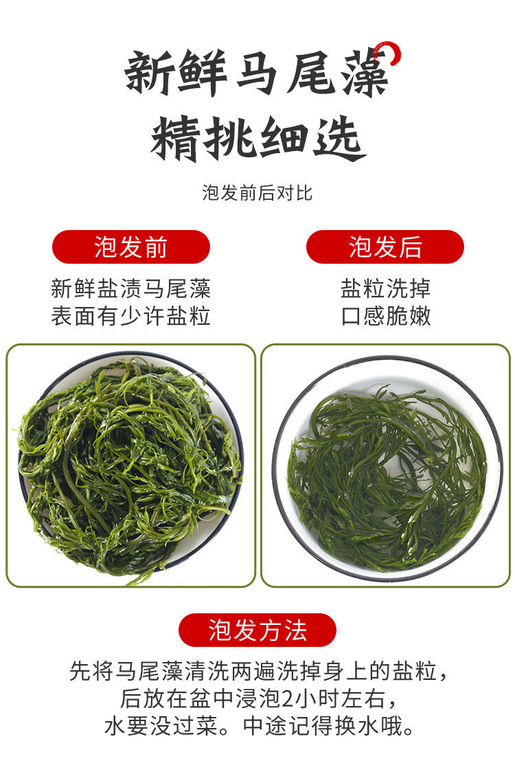 荣成盐渍马尾藻海草鞭炮笋海藻羊栖长寿菜凉拌麻辣烫串串配菜展志曼智