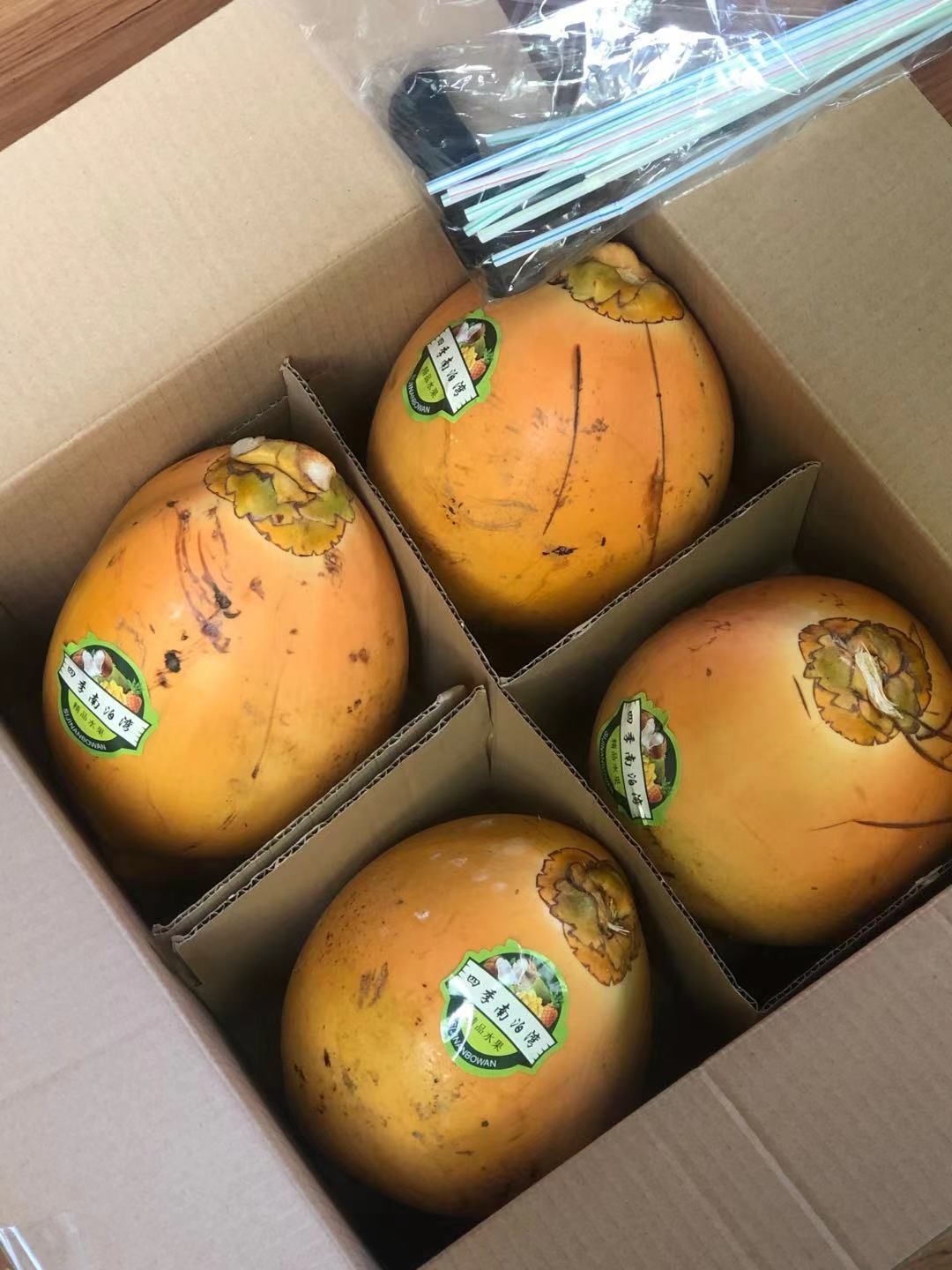 椰子新鲜海南农家肥种植黄金椰子批发一件也批发价黄金椰子4个装送开