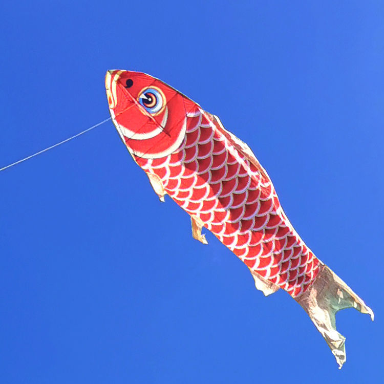 风筝大型大鲤鱼鲫鱼红鱼微风易飞大型巨型大人专用网红特大 10米折叠