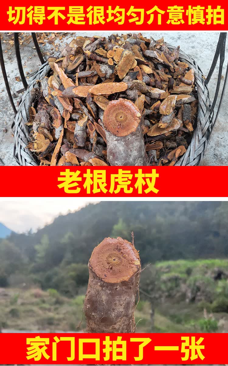 虎杖500g克花斑竹酸筒杆酸汤梗斑杖根可新鲜打粉野生干货中药材