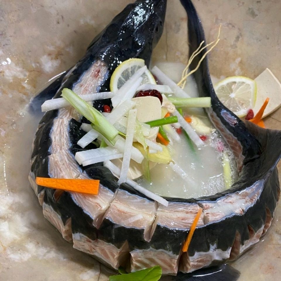 肉新款 山东省整条 健康营养鲟龙鱼 2000g 鲜活特产 清蒸食用鲟鱼