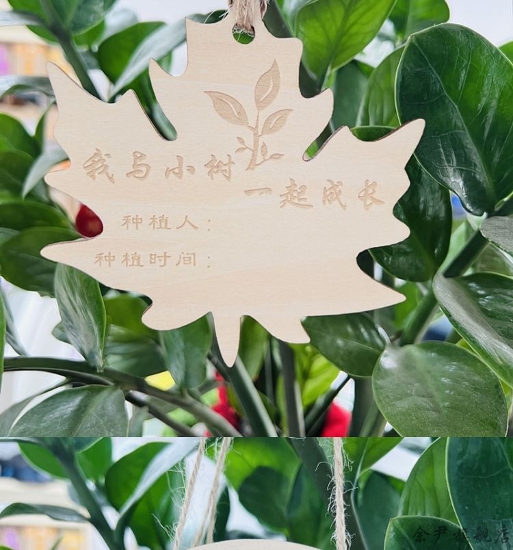 植树节挂牌 植树节认养牌树木认领牌木质吊牌活动挂牌学校公园园林