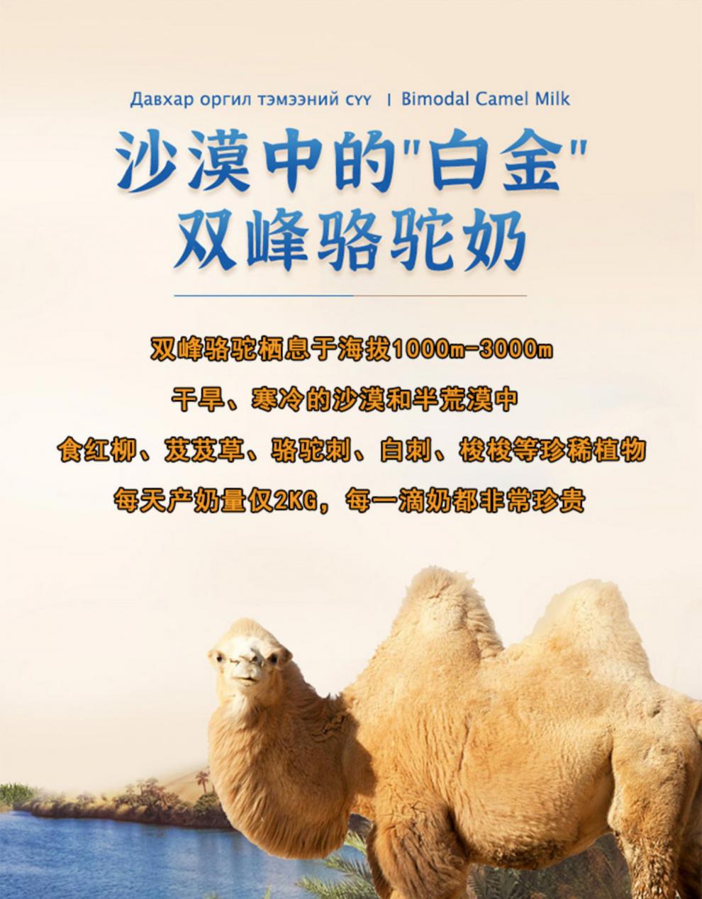 新疆朗青驼牛奶骆驼奶双乳蛋白无糖全脂鲜奶早餐10盒装 200ml*10盒*3