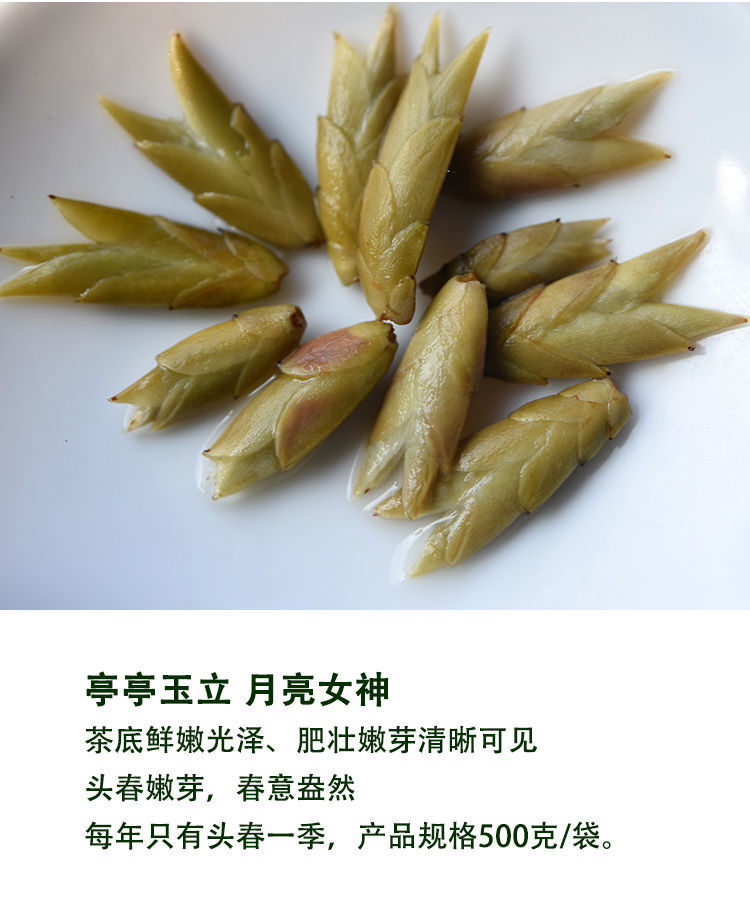 2022春茶云南野生芽孢茶白芽苞千年老妖古树芽孢普洱生茶散茶500g500g