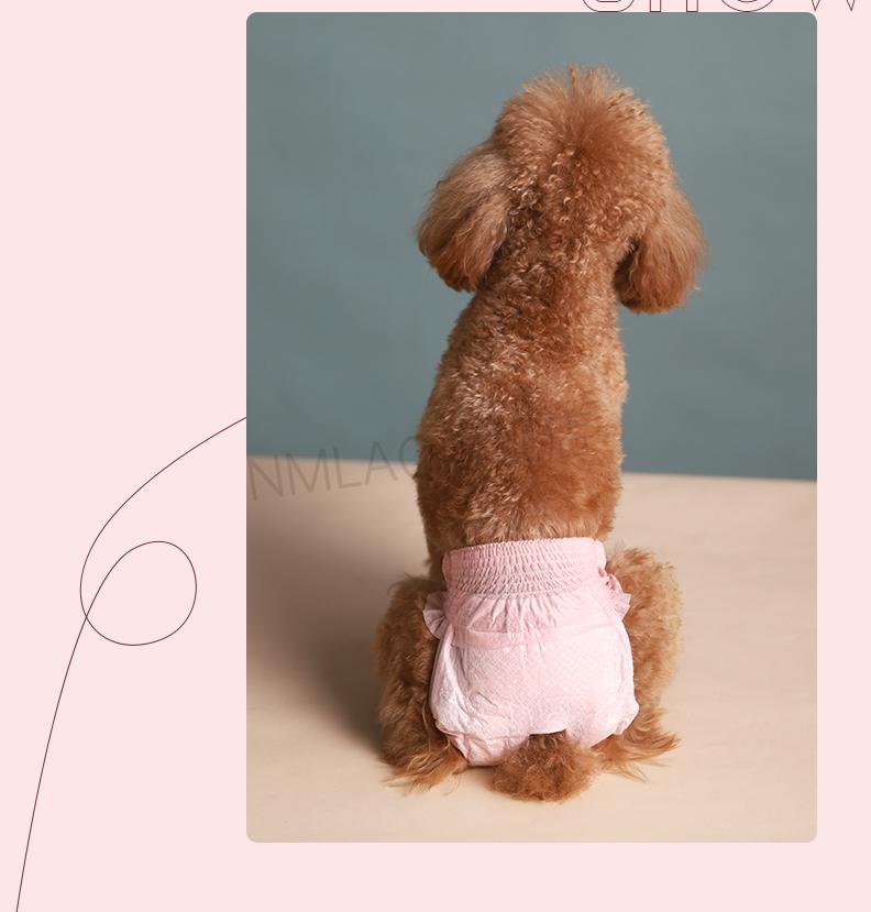 狗狗生理裤 狗狗生理裤尿不湿母狗公狗专用纸尿裤女狗卫生巾宠物姨妈