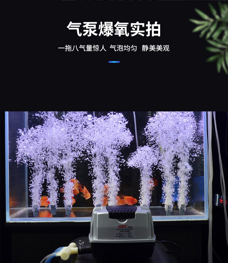鱼缸增氧泵氧气泵鱼池水族箱分流空气泵养鱼供氧器制氧机气霸 p-50