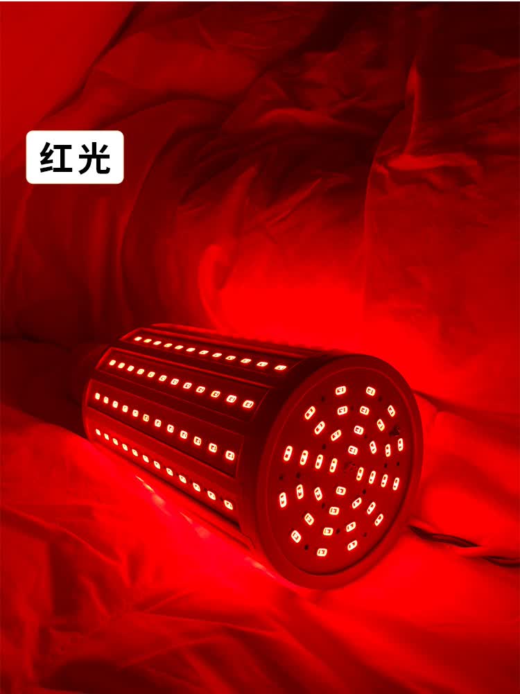 天南兄弟(tnbrothers) 彩色灯笼灯led灯泡蓝光玉米灯泡e27螺口粉色