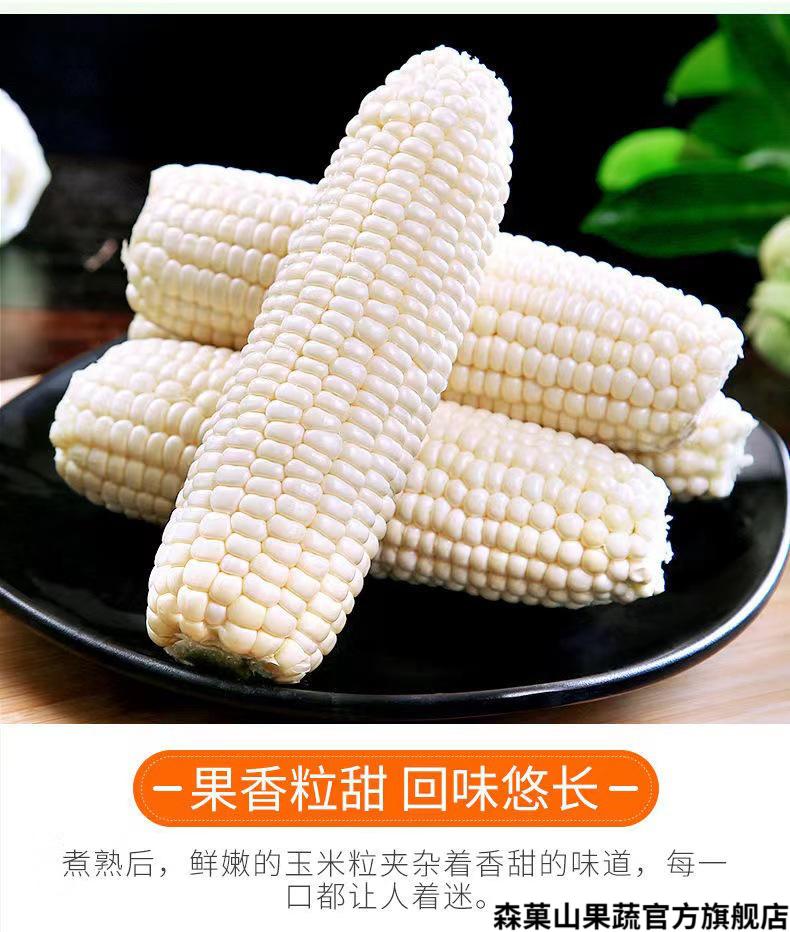 现摘攀枝花牛奶玉米新鲜白糯玉米当季水果爆浆嫩牛奶玉米棒子9斤