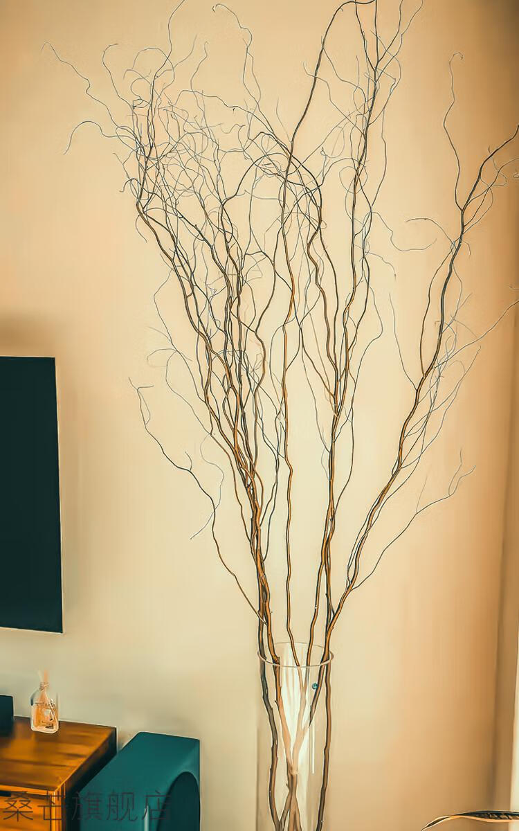 雅诺居 适用插花瓶柳枝龙柳花瓶玻璃透明超高405060cm高款插花长枝龙