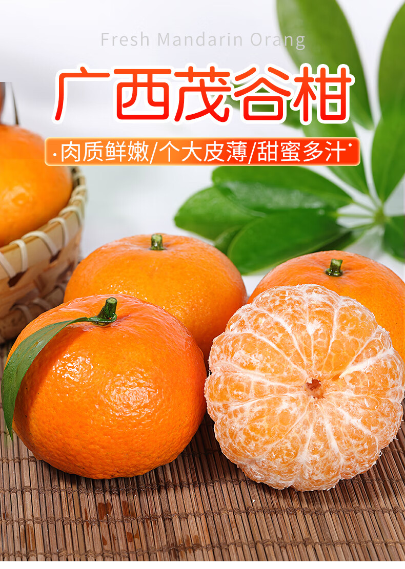 广西新鲜茂谷柑9斤水果当季沃丑柑橘子蜜桔子整箱大果109斤精品中果