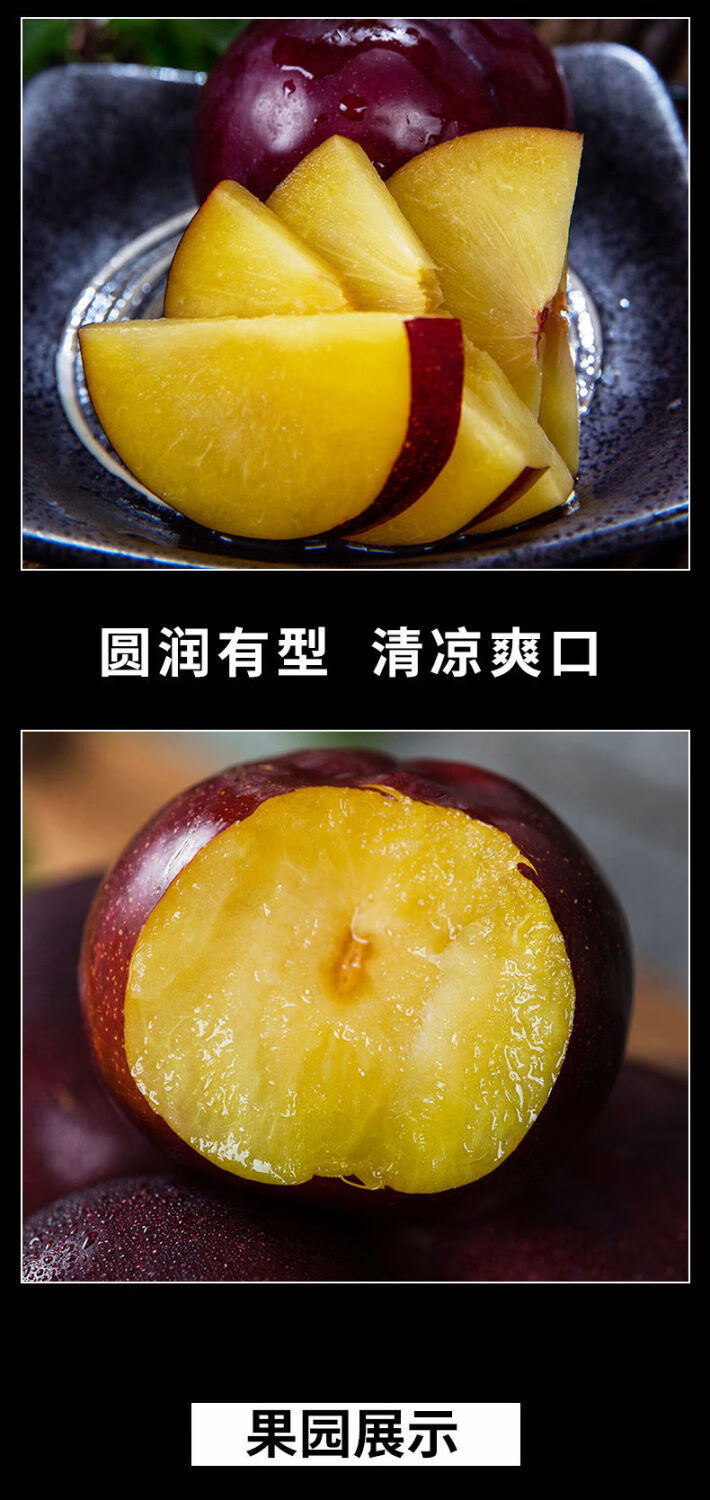 现摘现发新鲜陕西黑布林大李子新鲜水果黑宝石酸甜孕妇水果黑李子
