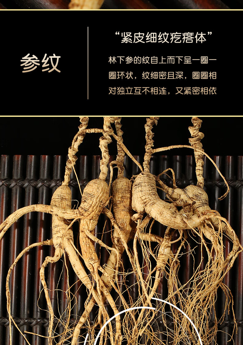 北京同仁堂20年林下参礼盒长白山人参野山参东北干参野生五枝装吉林山