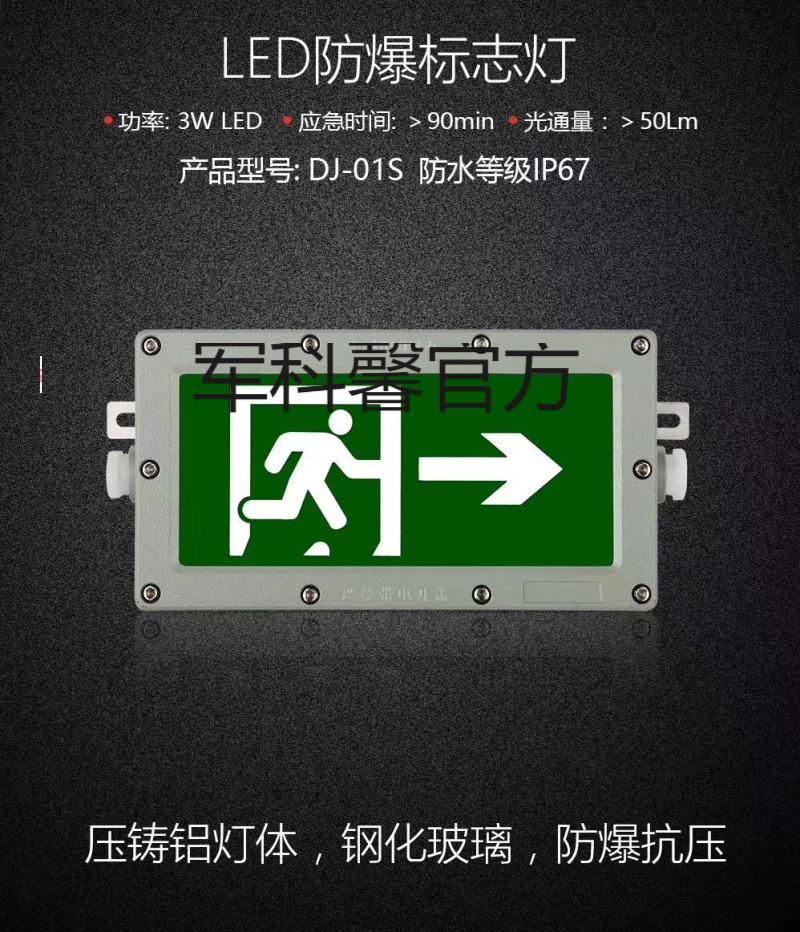 ip54防水防爆双头应急照明灯220v36v智能应急疏散标志指示灯 3 防爆