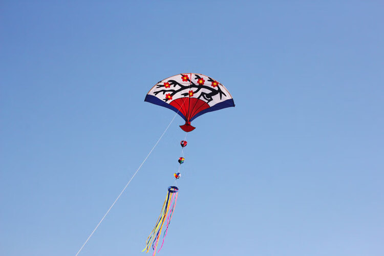 602019梅花扇子风筝儿童卡通中小型风筝线轮套餐520礼物29米格子布