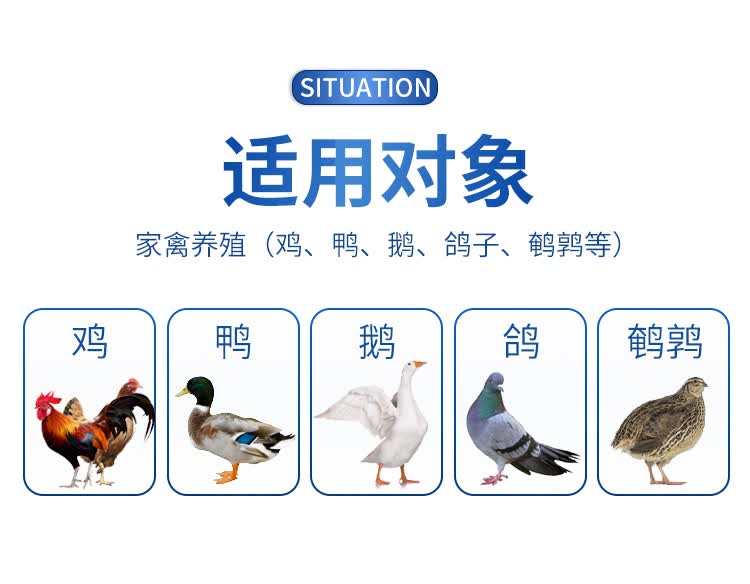 感康鸡药大全抗病毒流行闭眼新城疫鸡瘟药鸡鸭鹅鸽养鸡专用药
