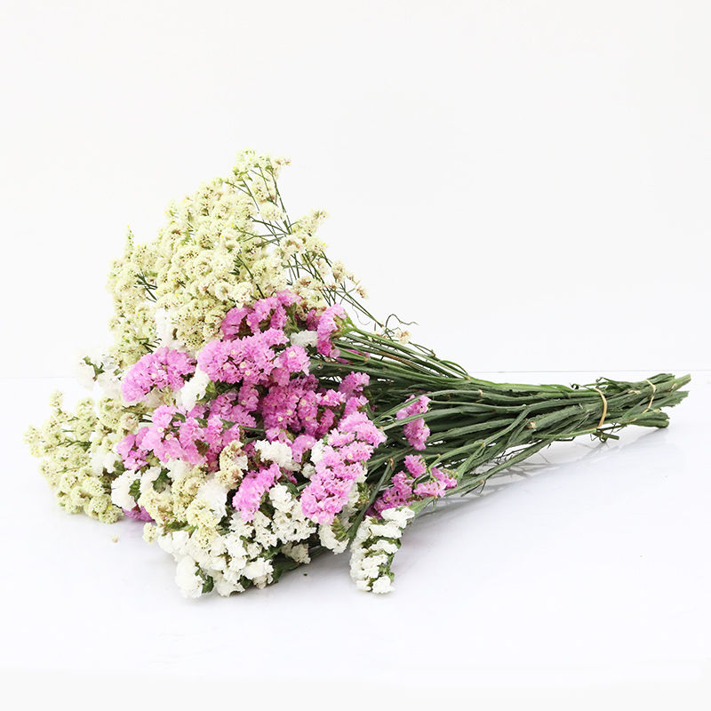 干花勿忘我情人草水晶草组合满天星花束客厅真花插花家居摆设礼品 黄