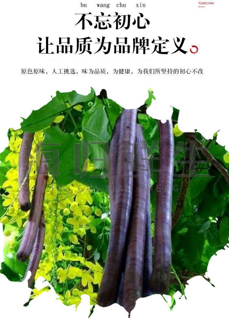 尼泊尔奇异果 150g-900g 尼泊尔奇异果新鲜植物水果泡茶喝印度特产