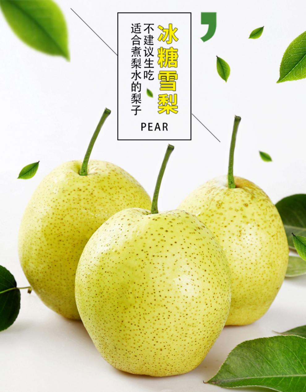 日本pear雪梨图片
