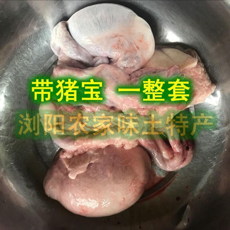 同仁堂有仁堂种猪整套猪宝猪鞭特大种猪猪鞭猪宝猪蛋猪鞭加猪蛋猪睾丸