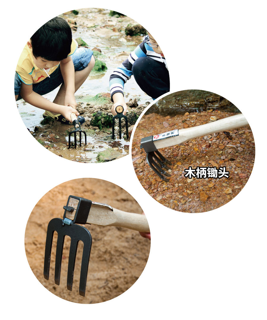 赶海工具沙滩挖蛤贝壳海鲜蛏子蚬子螺神器赶海工具海 原色四齿尖耙(锻