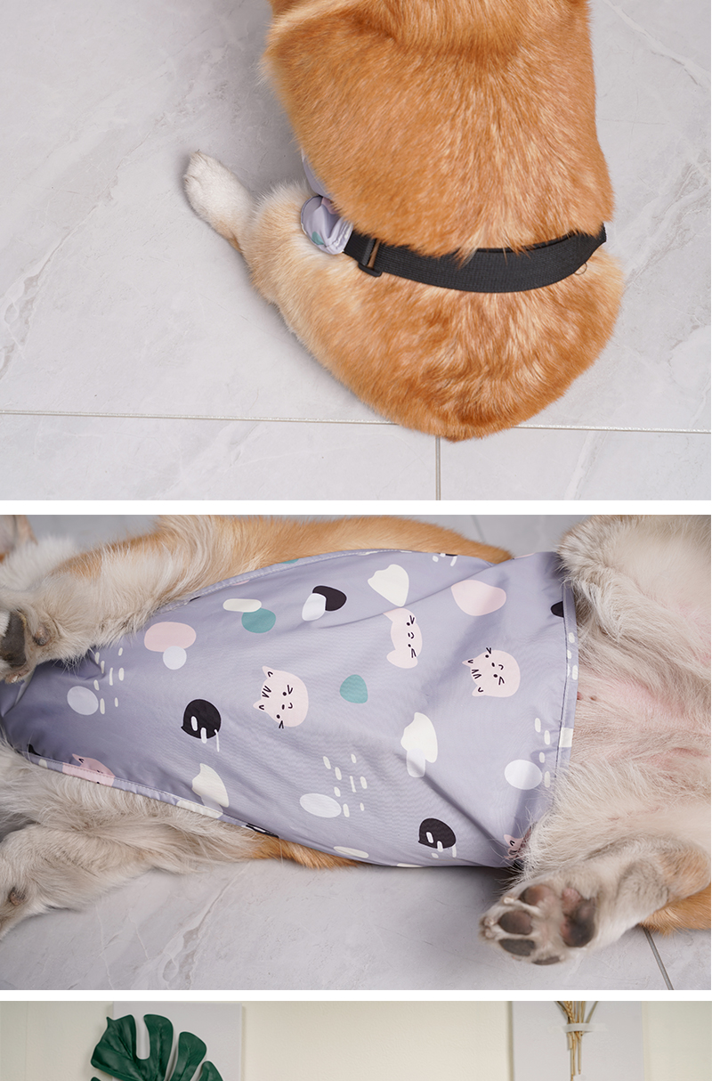 柯基 柯基防水肚兜可调节带松紧分公母狗狗防水肚兜护肚 2xl约20-29斤