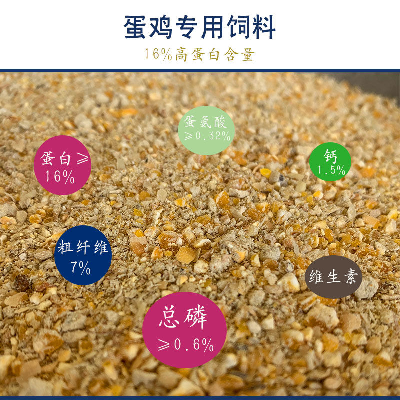 囧仙子蛋鸡饲料产蛋鸡下蛋鸡全价料中大散养鸡食玉米碎粒鸭鹌鹑增蛋