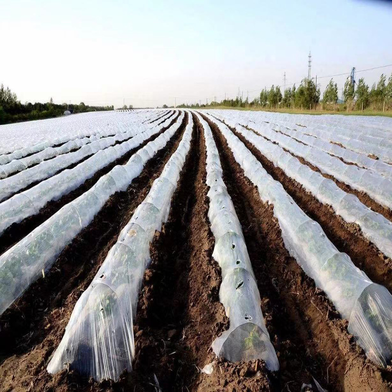 农用地膜菜园大棚除草保温保湿白色透明聚乙烯薄膜一次性塑料布足米数