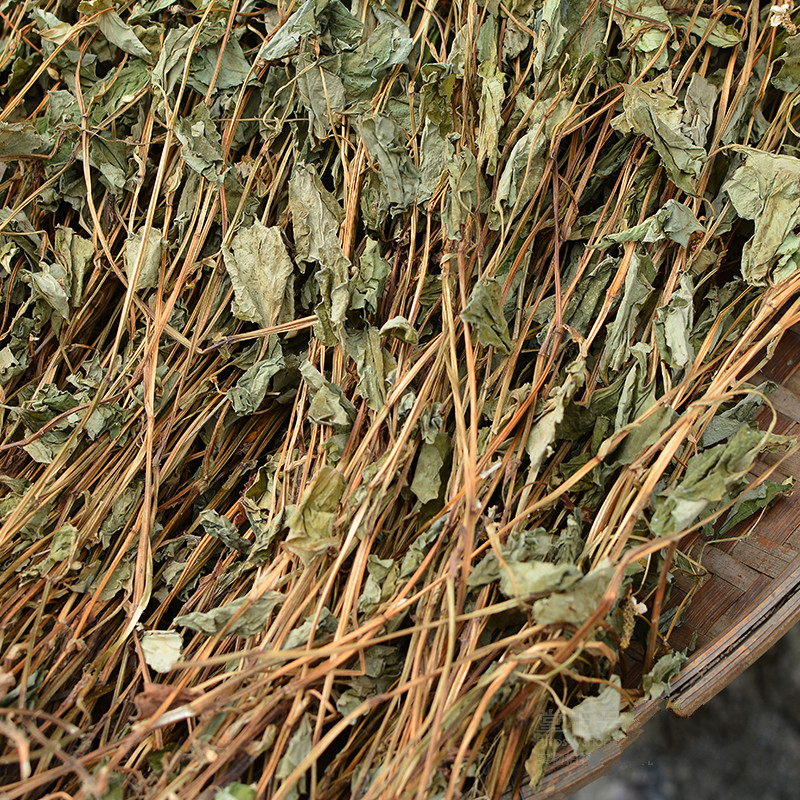 伊梵麦鱼腥草干500g整颗全草泡水茶折耳凉茶养生花草茶