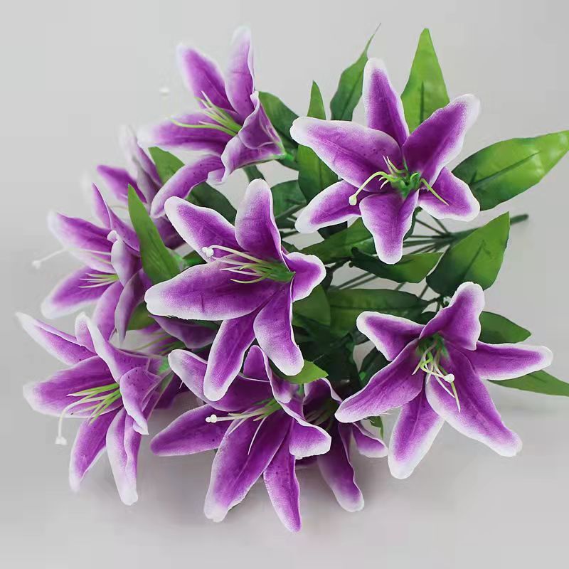 紫色百合花的花语和寓意(紫色的百合花语是什么意思)