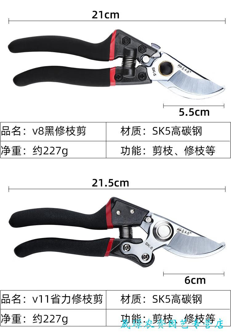 db1ff709d2977f50.jpg