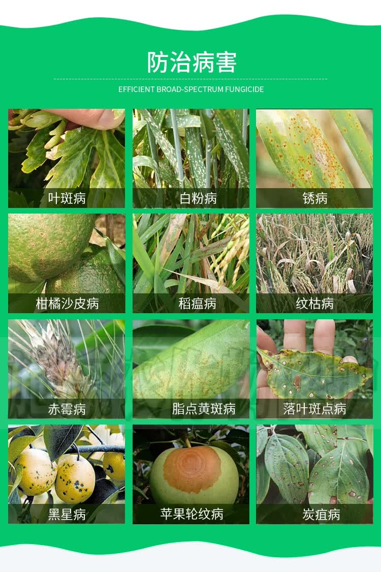 戊唑醇咪鲜胺果树月季小麦赤霉病白粉锈病纹枯病沙皮病农药杀菌剂500g