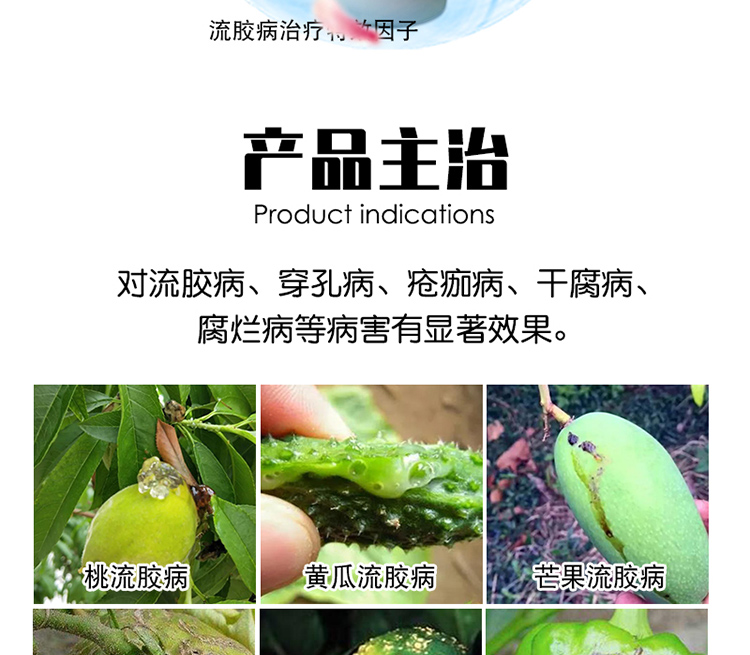 进口流胶病特效1号杀菌剂桃树黄瓜果树流胶病专用药细菌性穿孔病10瓶