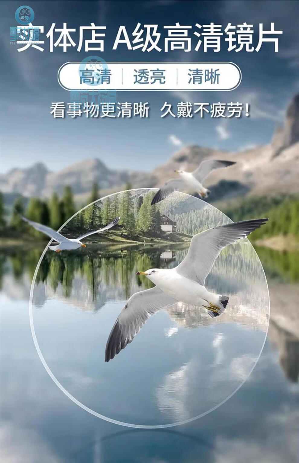 113c747a347ca2b1.jpg
