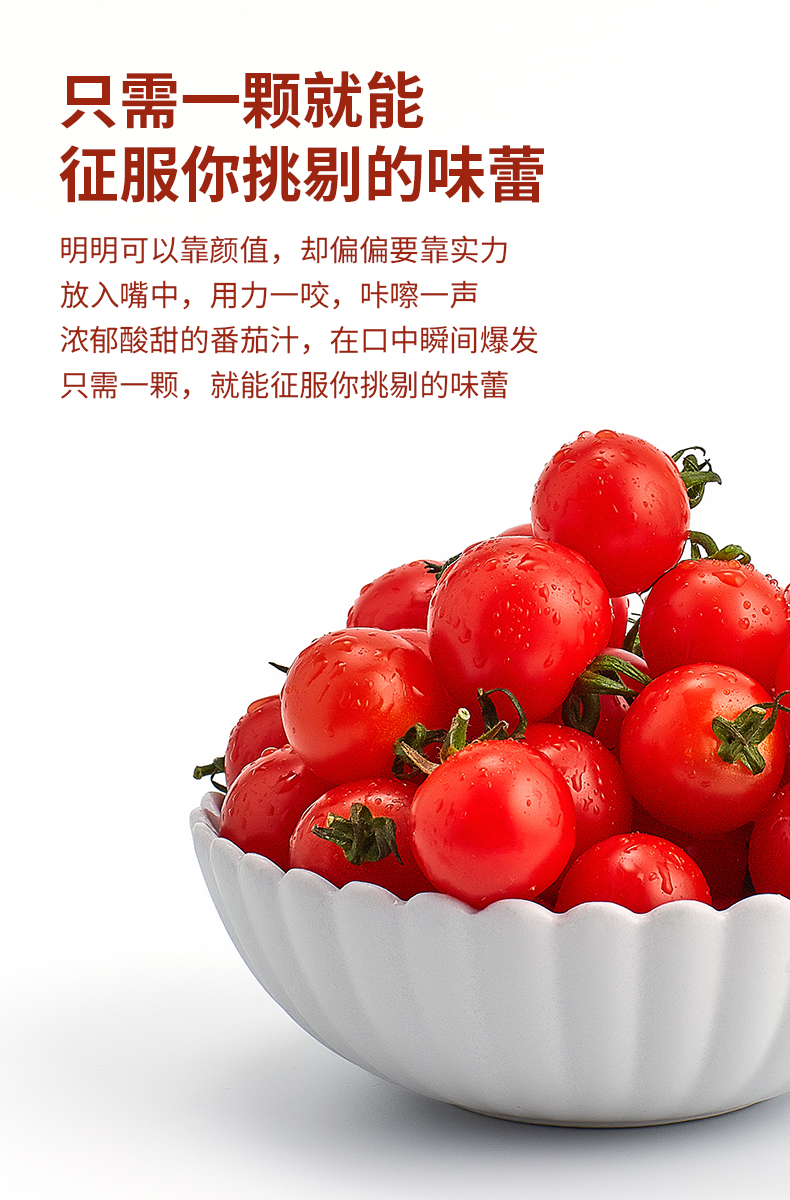 枝纯串收番茄198g2盒新鲜小番茄新鲜水果新鲜小番茄f