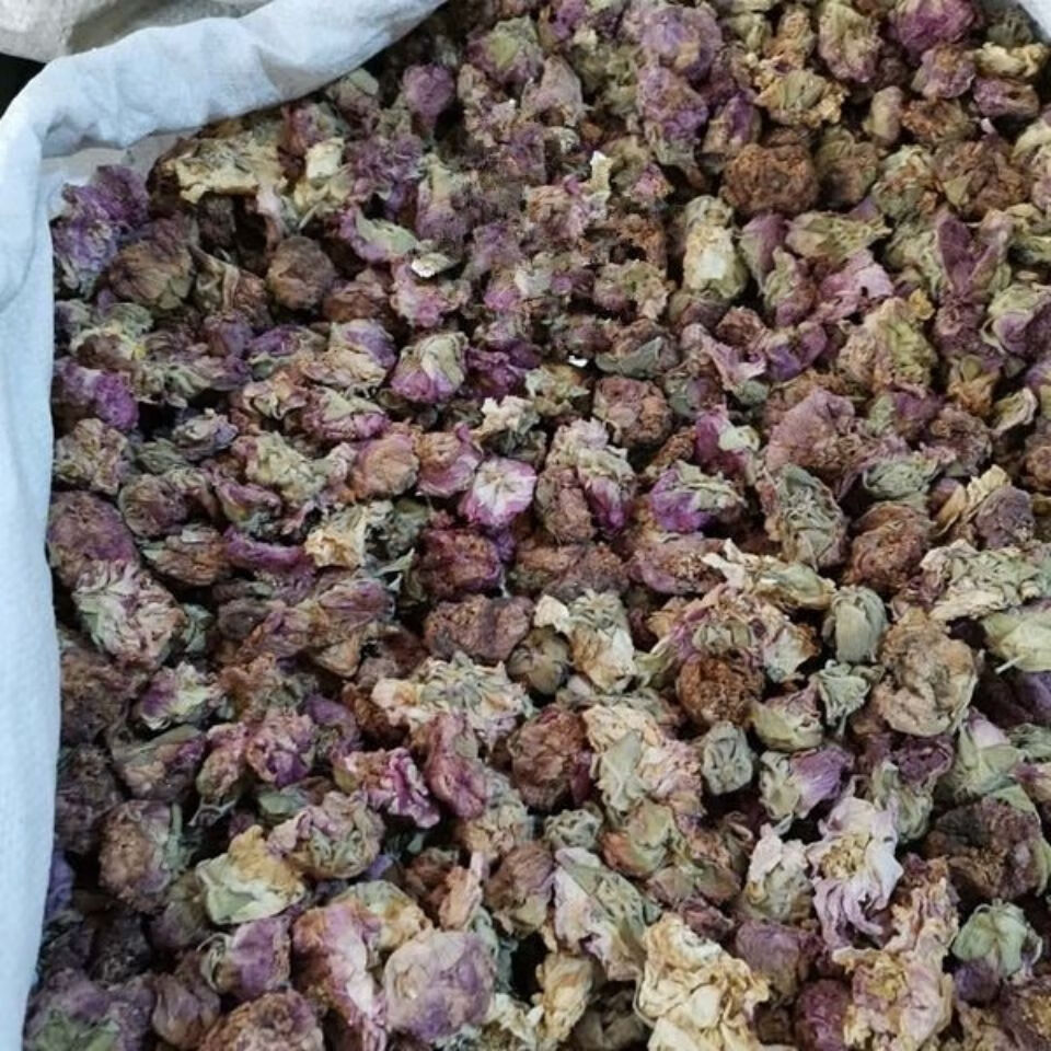 芙蓉花中药材芙蓉花木芙蓉花地芙蓉花干芙蓉花100克新货上市1000克