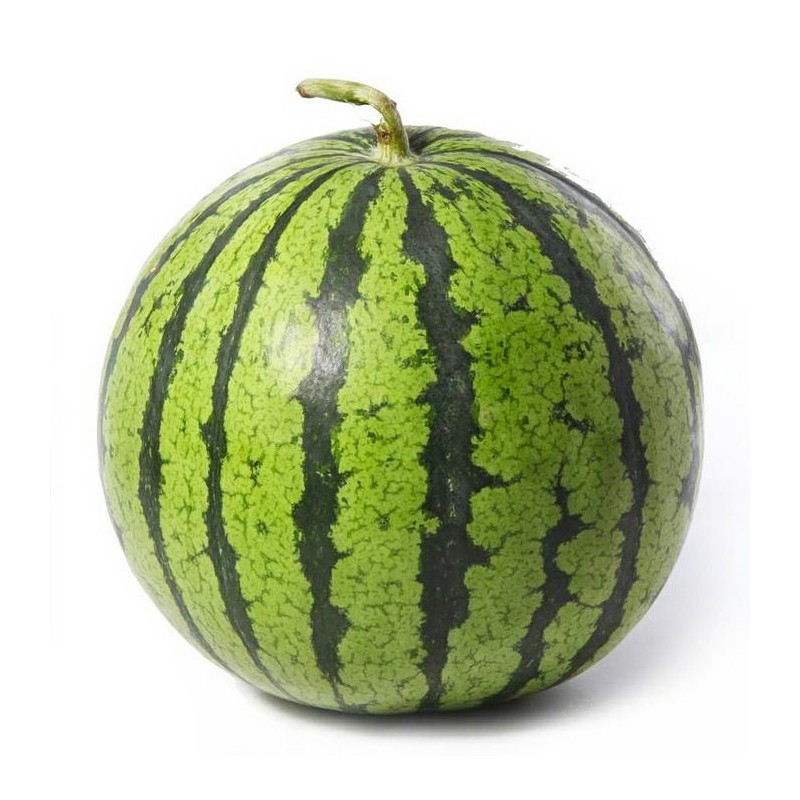 源外园 小糖丸西瓜 新鲜现货 单果2斤左右 迷你小西瓜薄皮超甜好吃