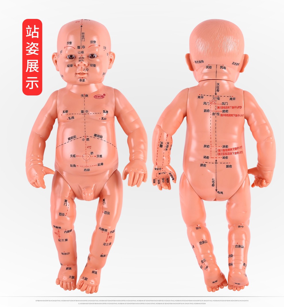 子彧 小儿推拿模型 宝宝穴位模型 儿童人体模型 穴位图 月嫂培训教学