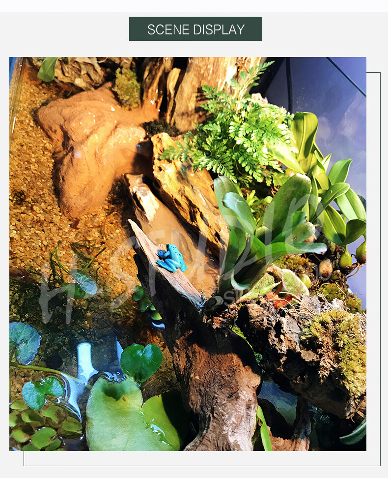 半水龟乌龟植物造景玻璃实木橡木水陆缸套装 可升降灯箱 m号
