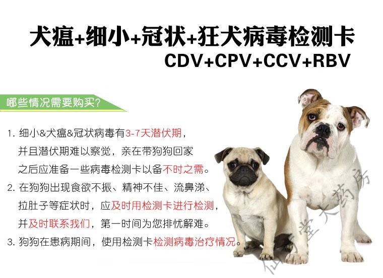 猫狗狂犬病纸犬病快速诊断卡犬细小检纸猫狗纸犬瘟热病毒检测卡 犬