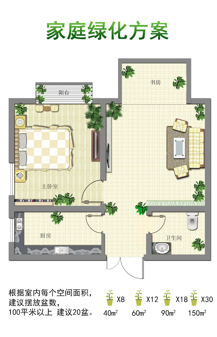 佛肚竹盆栽小竹子植物室内佛竹小型矮化客厅好养观赏竹罗汉竹盆景夜静