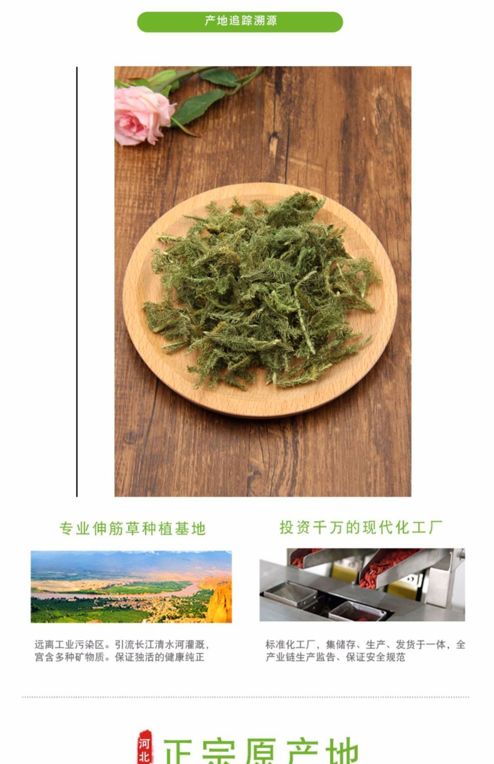 野生伸筋草透骨草特级泡茶泡水泡脚粉龙骨舒筋野生伸筋草今年新货250