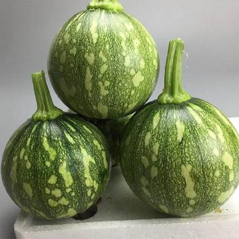 媚调云南小南瓜新鲜南瓜嫩瓜绿皮青皮南瓜时令当季蔬菜 3斤【精选】